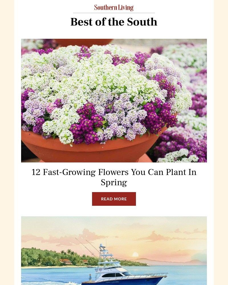 Screenshot of email with subject /media/emails/12-fast-growing-flowers-you-can-plant-in-spring-326248-cropped-16ce9cb7.jpg