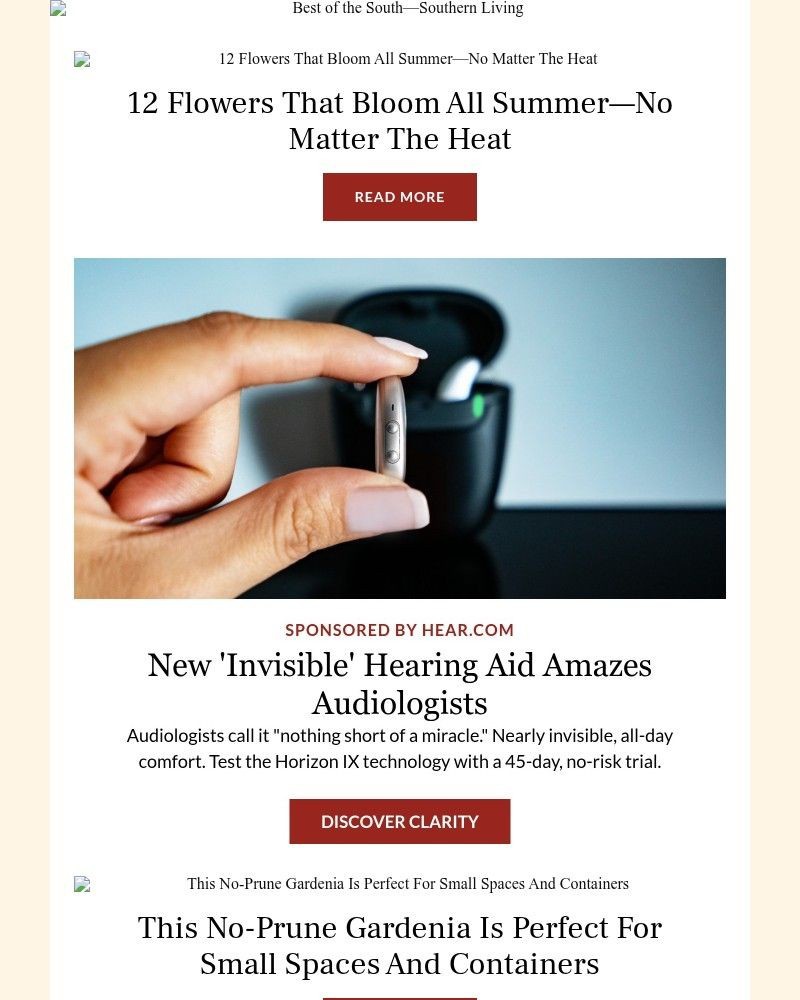 Screenshot of email sent to a Southern Living Newsletter subscriber