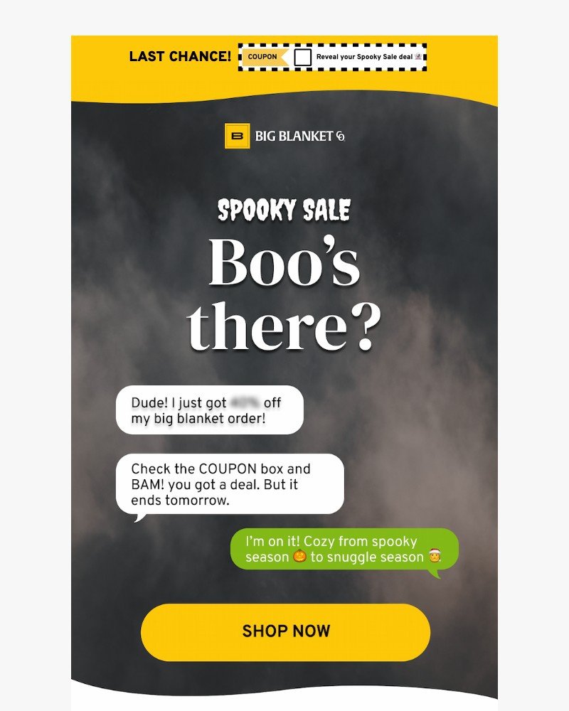 Screenshot of email sent to a Big Blanket Co. Newsletter subscriber