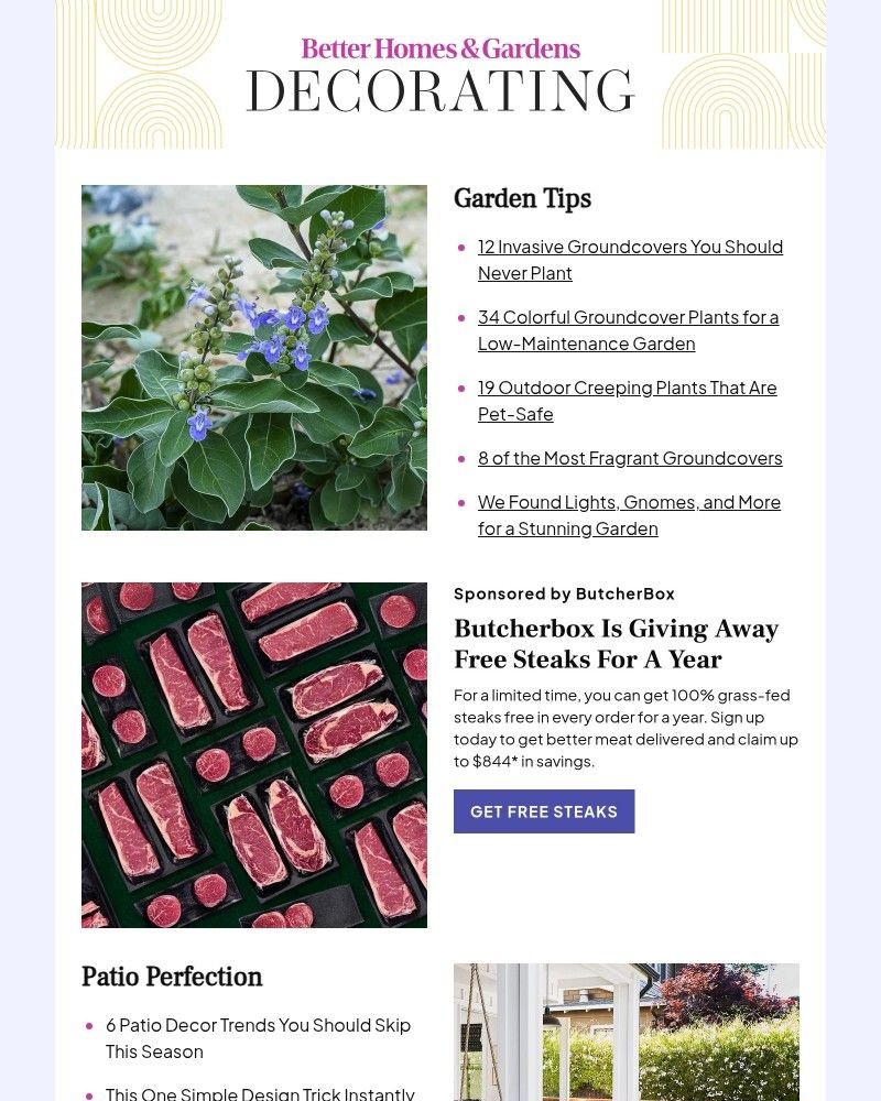 Screenshot of email with subject /media/emails/12-invasive-groundcovers-you-should-never-plant-aa2aa1-cropped-7c844772.jpg