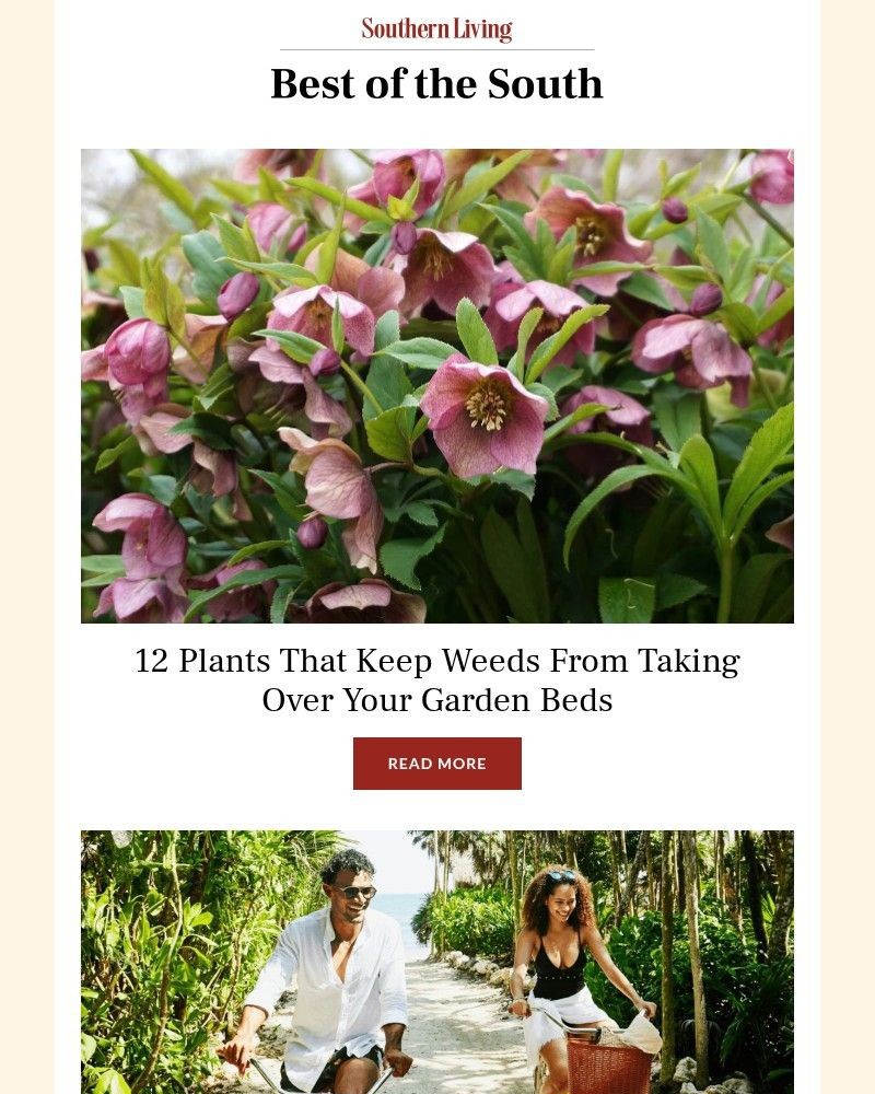 Screenshot of email with subject /media/emails/12-plants-that-keep-weeds-from-taking-over-your-garden-beds-21beba-cropped-5c7dd854.jpg