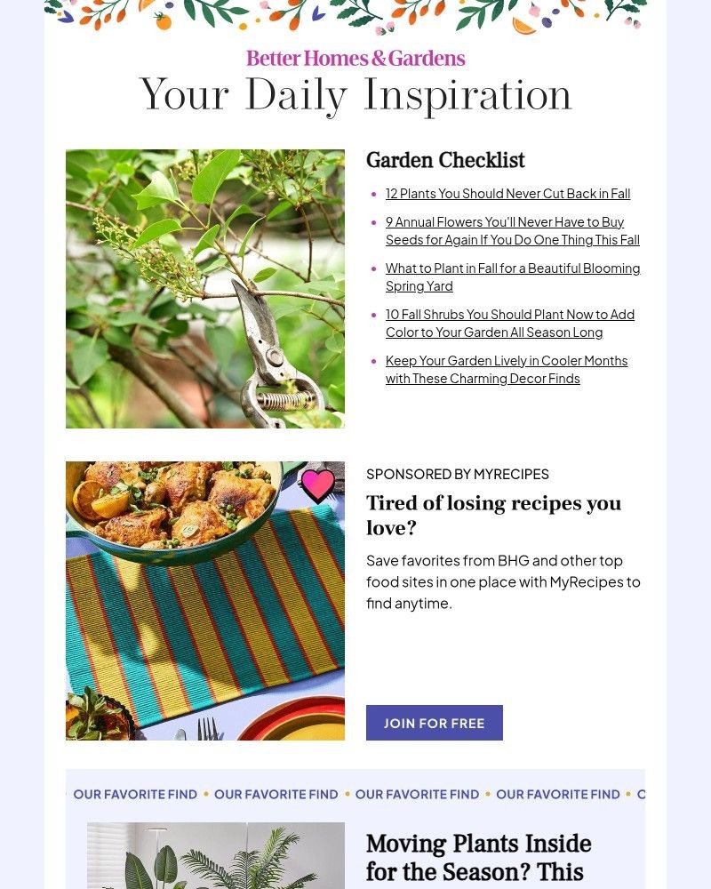 Screenshot of email with subject /media/emails/12-plants-you-should-never-cut-back-in-fall-7e85c1-cropped-8b9ace53.jpg