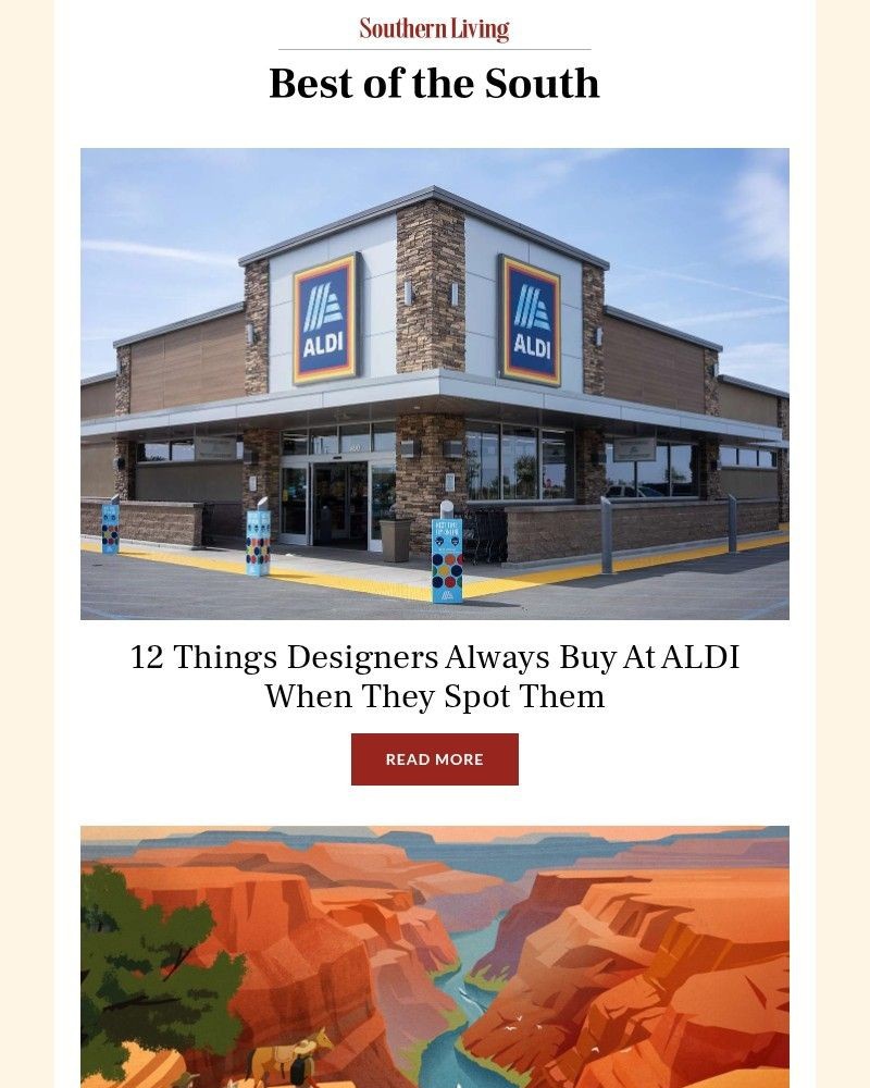 Screenshot of email with subject /media/emails/12-things-designers-always-buy-at-aldi-when-they-spot-them-cfc9bd-cropped-d49c9935.jpg