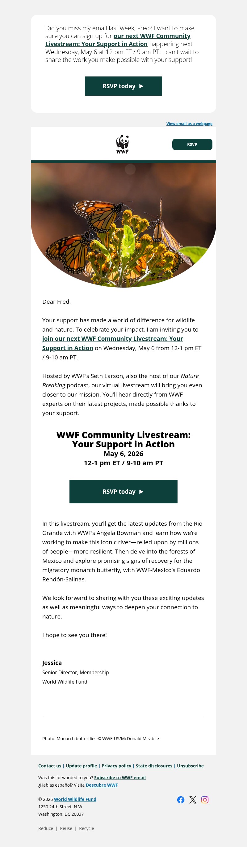 Screenshot of email with subject /media/emails/12edd424-9435-4371-86b4-eb9ec542b221.jpg