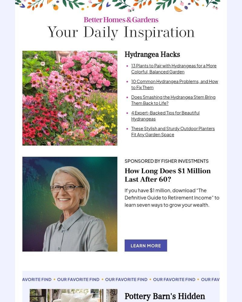Screenshot of email with subject /media/emails/13-plants-to-pair-with-hydrangeas-for-a-balanced-garden-0ffa35-cropped-ec6decbf.jpg