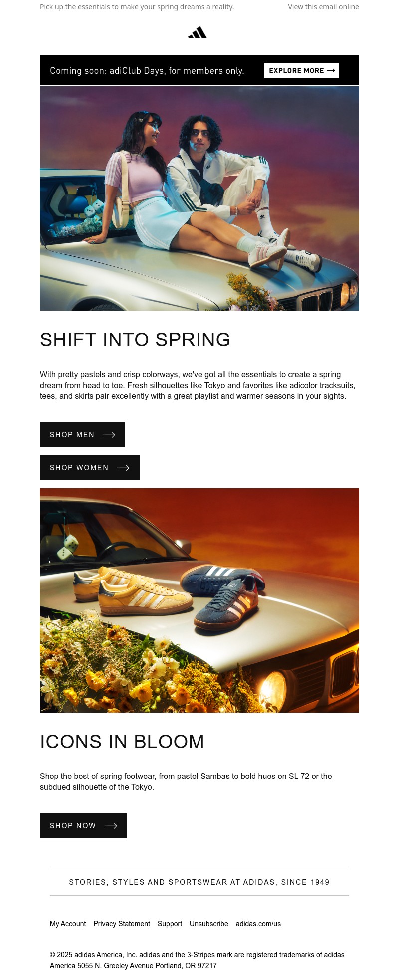 Screenshot of email with subject /media/emails/13230e35-e736-44fc-963d-f2f4717ec211.jpg