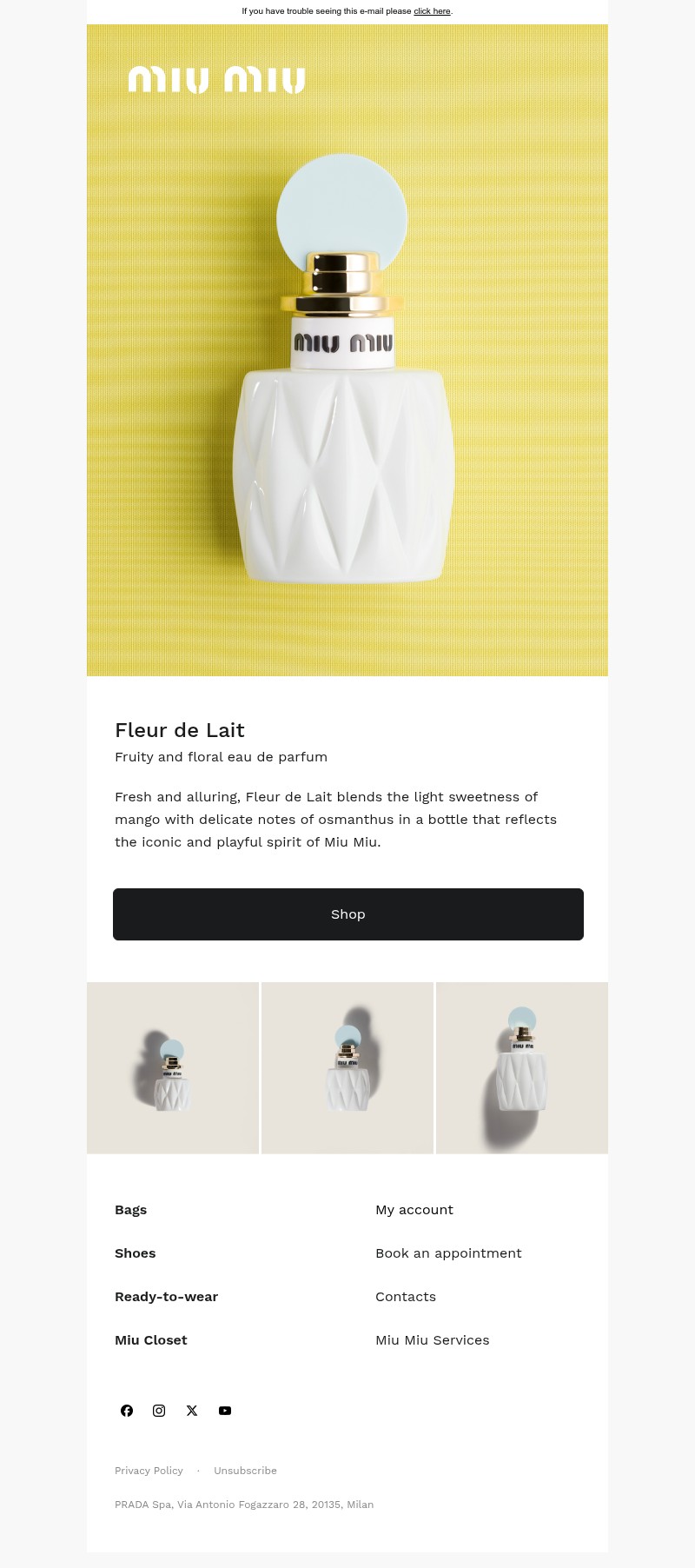 Screenshot of email with subject /media/emails/13271446-dd69-4f00-87ff-cac324b78676.jpg