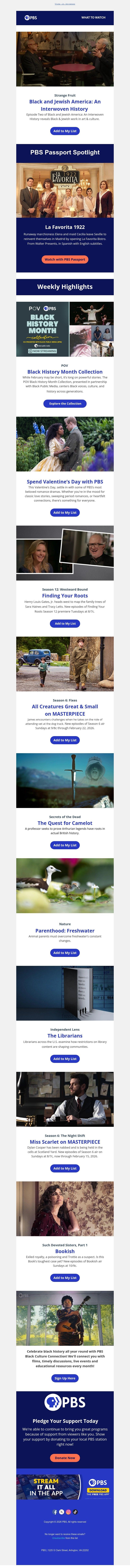 Screenshot of email with subject /media/emails/132cf9ca-d5f1-4152-a322-b851916c2b36.jpg