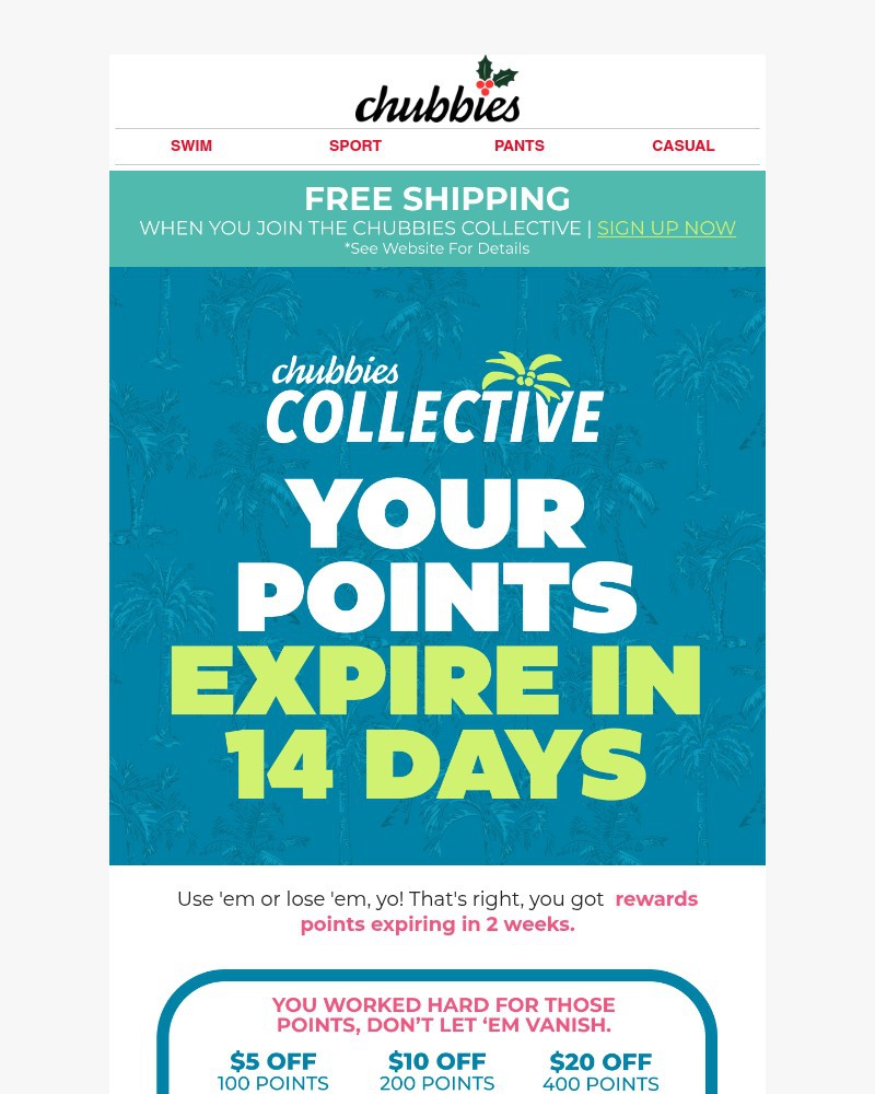 Screenshot of email with subject /media/emails/14-days-until-points-expire-8f0a47-cropped-c8de11cf.jpg