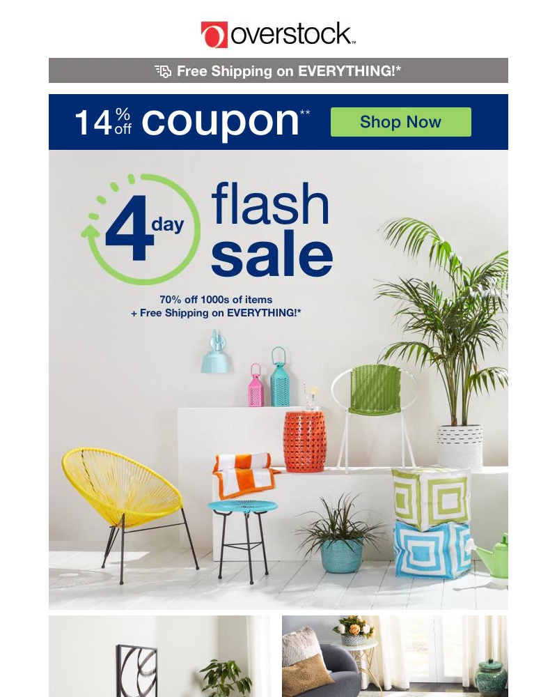 Screenshot of email with subject /media/emails/14-off-coupon-4-day-flash-sale-the-clock-is-ticking-on-huge-home-savings-d9a9e6-c_MxNTchU.jpg