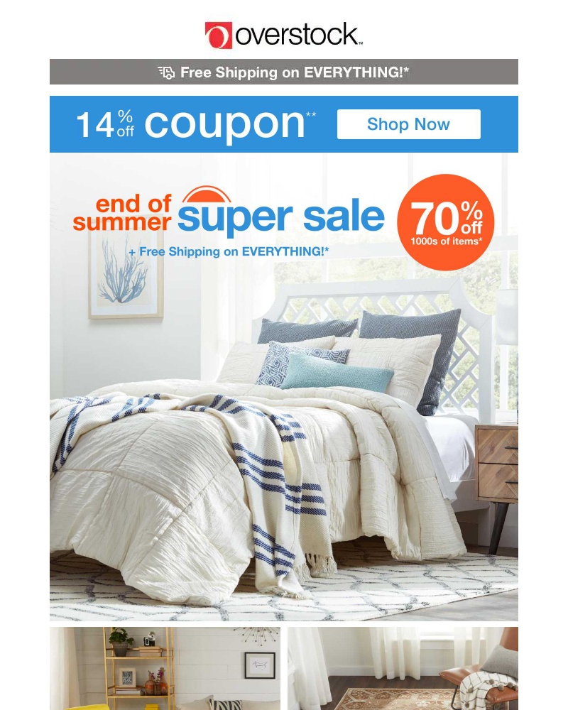 Screenshot of email with subject /media/emails/14-off-coupon-did-someone-say-patio-party-find-the-deals-youll-need-now-21c78a-cr_3Pf8hY2.jpg