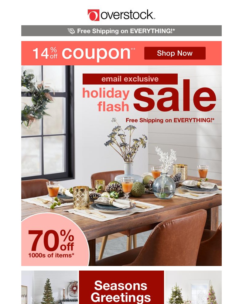 Screenshot of email with subject /media/emails/14-off-coupon-get-festive-this-fall-shop-seasonal-savings-to-refresh-your-space-8_uFBEll3.jpg