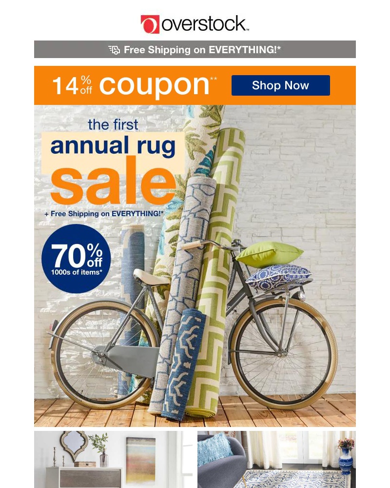 Screenshot of email with subject /media/emails/14-off-coupon-its-our-biggest-rug-sale-of-the-year-shop-now-03345f-cropped-e31d2c8f.jpg