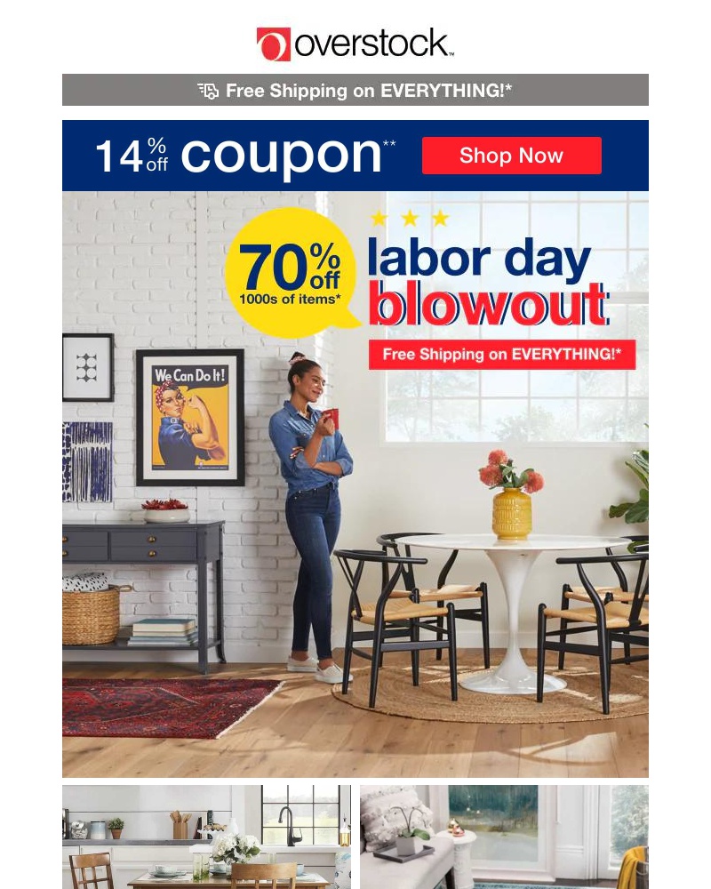 Screenshot of email with subject /media/emails/14-off-coupon-labor-day-blowout-shop-over-1-million-home-deals-343158-cropped-e30b8cb1.jpg
