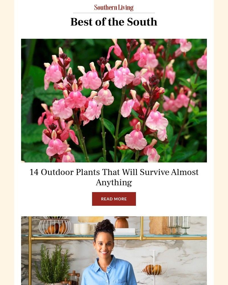 Screenshot of email with subject /media/emails/14-outdoor-plants-that-will-survive-almost-anything-a906b3-cropped-180a6f28.jpg