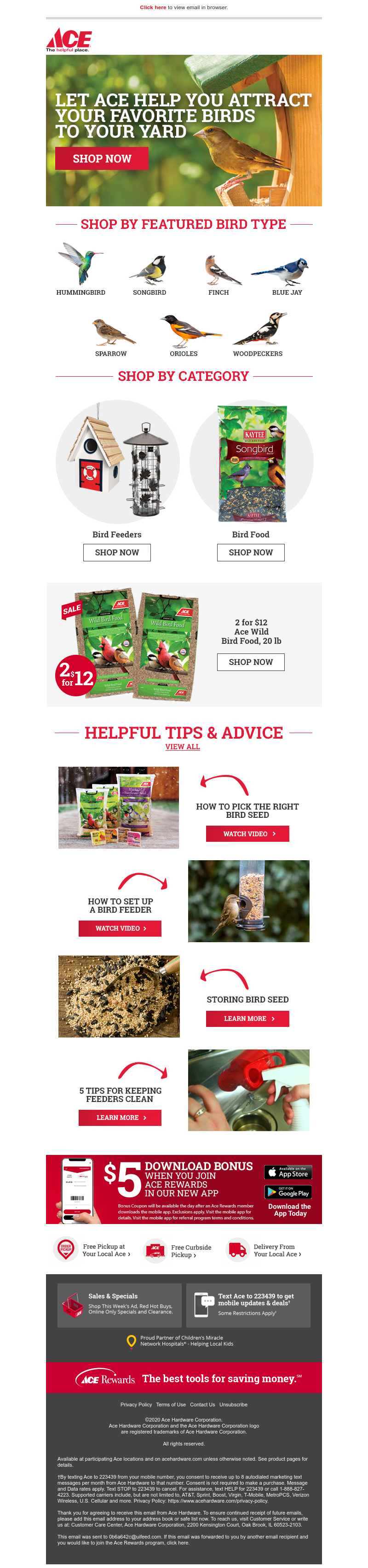 Screenshot of email with subject /media/emails/1444bfa5-10fe-4605-9321-20fab9118b0b.png