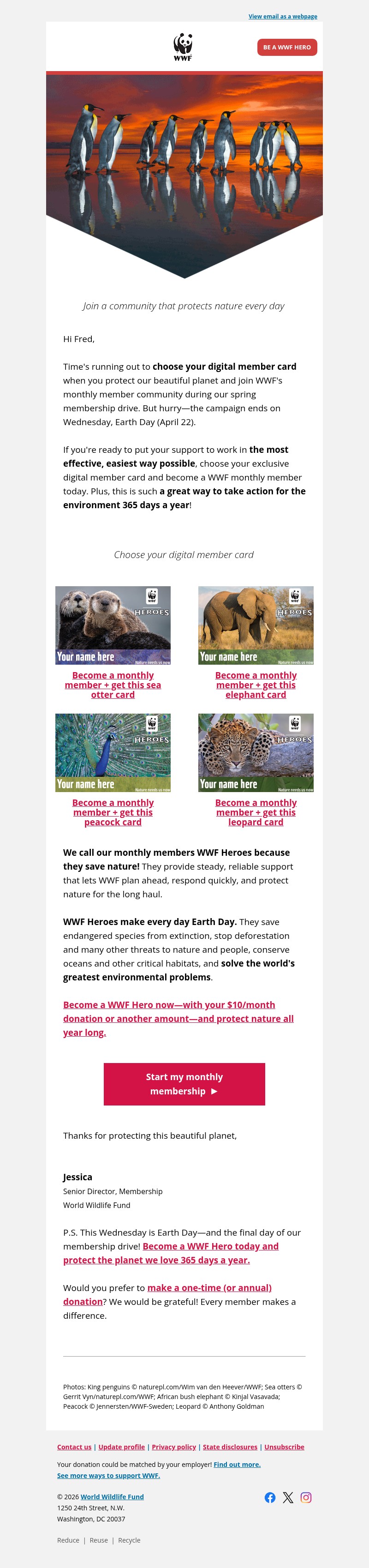 Screenshot of email with subject /media/emails/14608add-4556-4725-8ba6-f3ec8baa4249.jpg