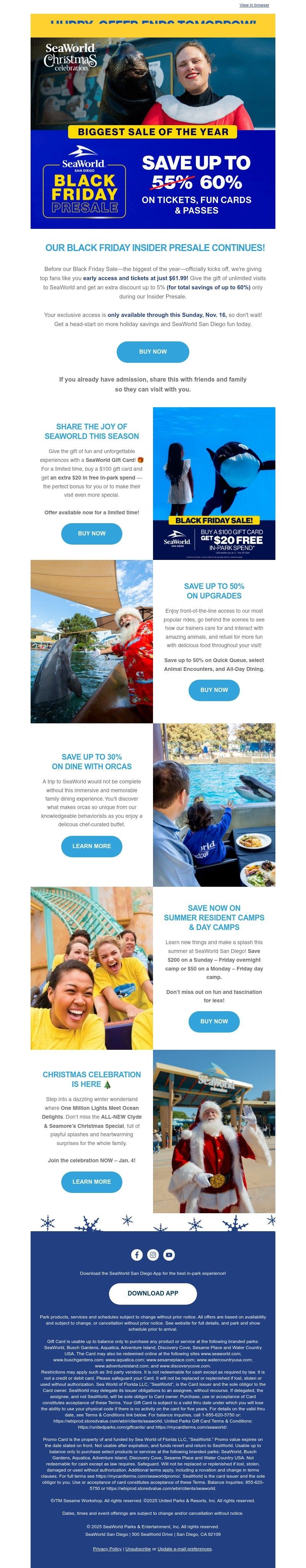 Screenshot of email with subject /media/emails/14c0cdd5-f008-4f80-9329-558fd3cfaba1.jpg