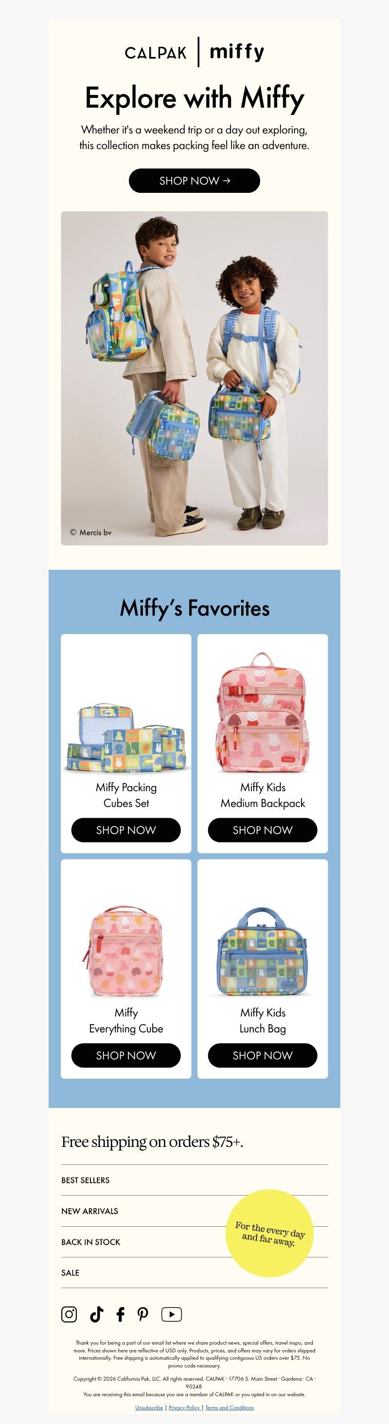 Screenshot of email with subject /media/emails/14df9b8f-d4e4-4b7c-9bc1-94804624ccfd.jpg