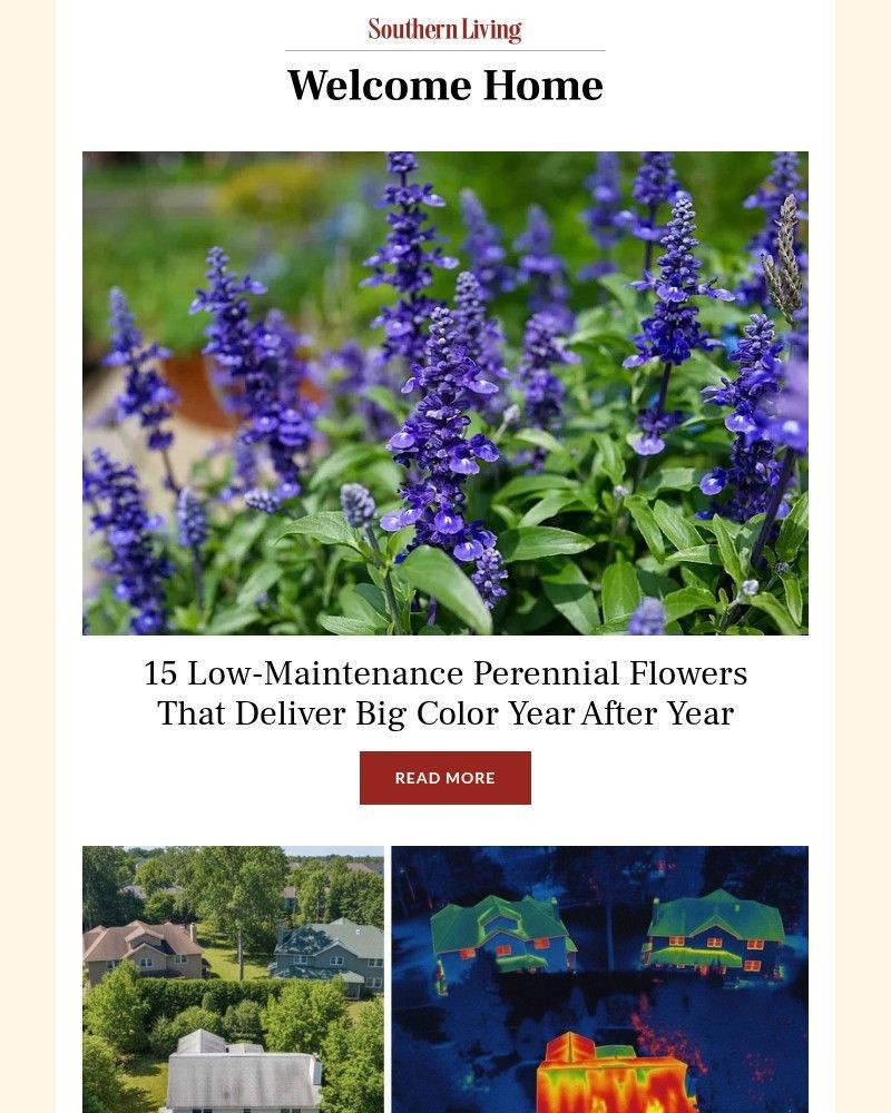 Screenshot of email with subject /media/emails/15-low-maintenance-perennial-flowers-that-deliver-big-color-year-after-year-42123_CXnuFET.jpg