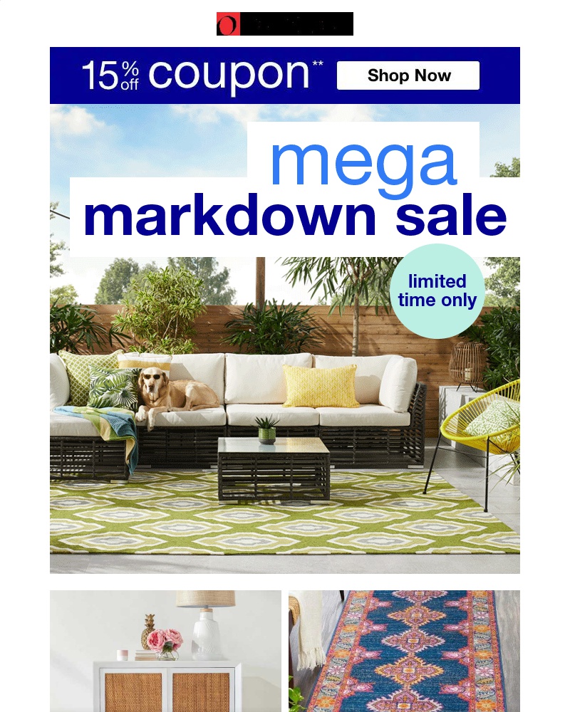 Screenshot of email with subject /media/emails/15-off-coupon-its-going-down-explore-the-mega-markdown-sale-now-cropped-30daad45.jpg