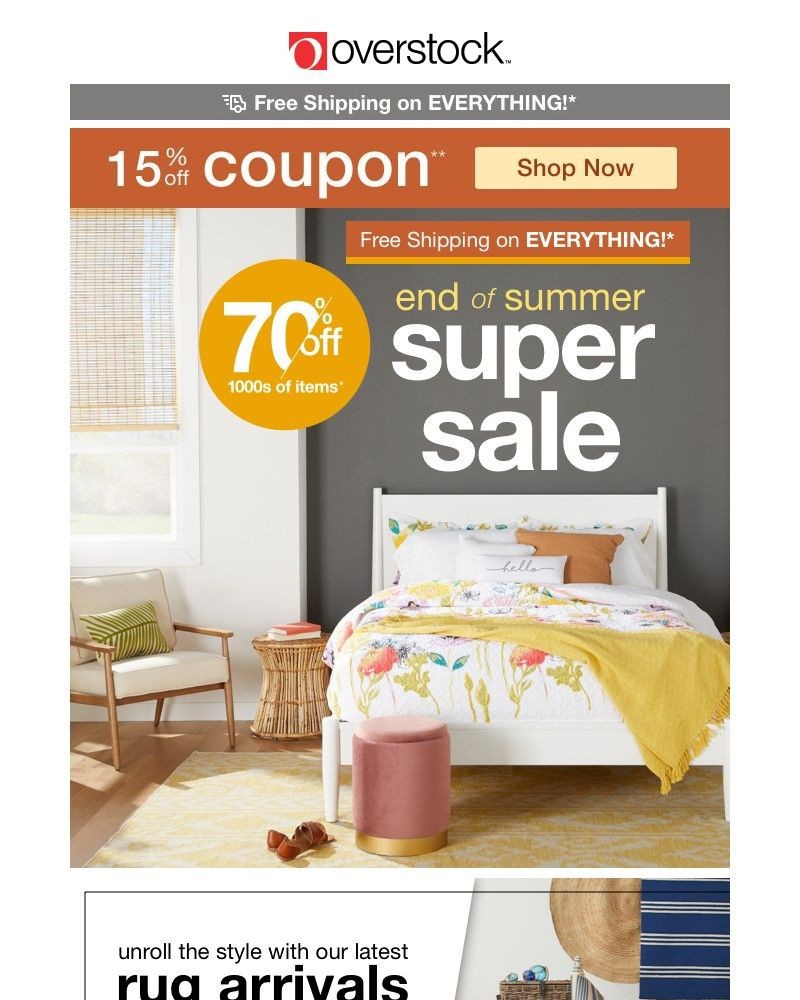 Screenshot of email with subject /media/emails/15-off-coupon-prepare-for-that-last-summer-get-together-save-on-home-essentials-t_MwRd3PL.jpg