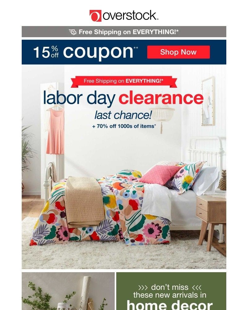 Screenshot of email with subject /media/emails/15-off-coupon-your-dream-home-closer-than-you-think-discover-the-deals-now-f25991_8JwunZC.jpg