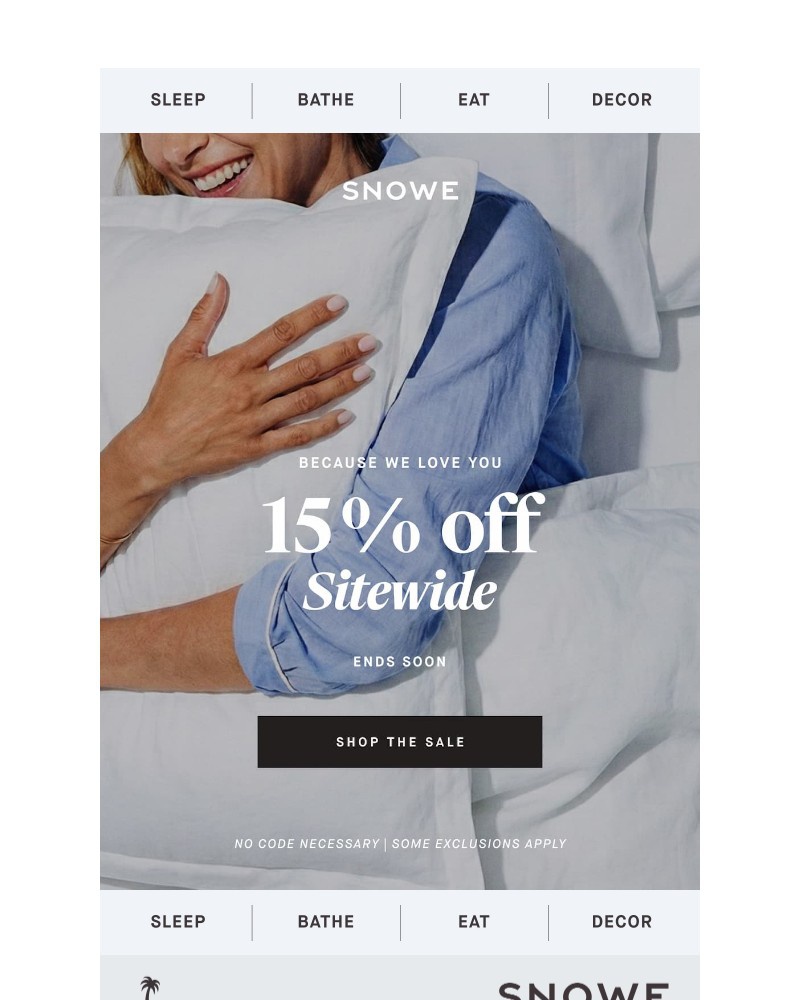 Screenshot of email sent to a Snowe Newsletter subscriber