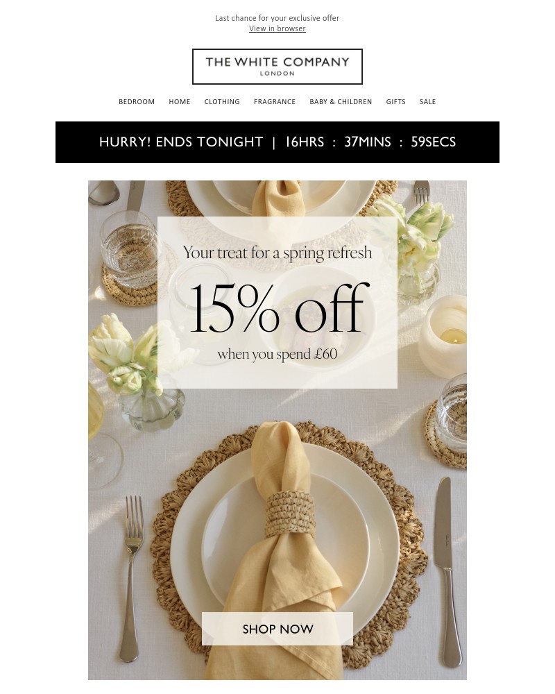 Screenshot of email sent to a The White Company Cart abandoner