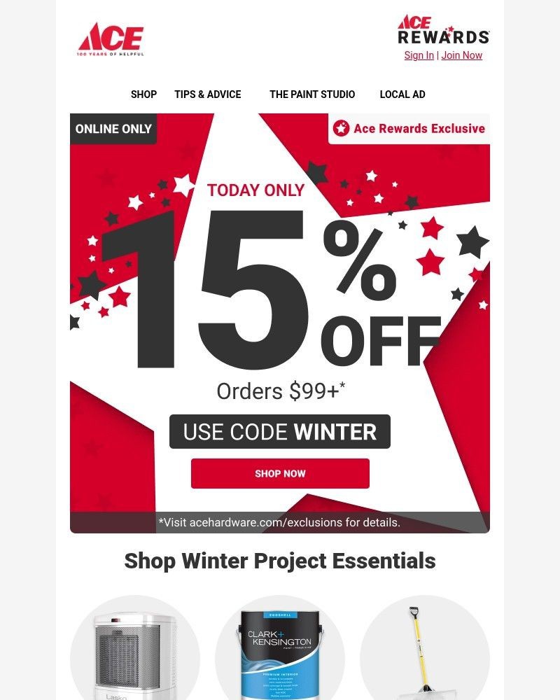 Screenshot of email sent to a Ace Hardware Newsletter subscriber