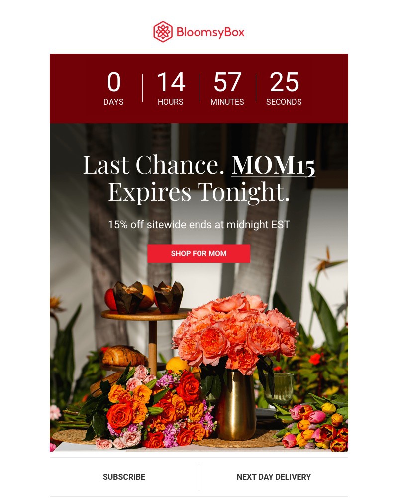 Screenshot of email with subject /media/emails/15-off-everything-for-mom-final-hours-ticking-8265fb-cropped-5b1c1bdf.jpg