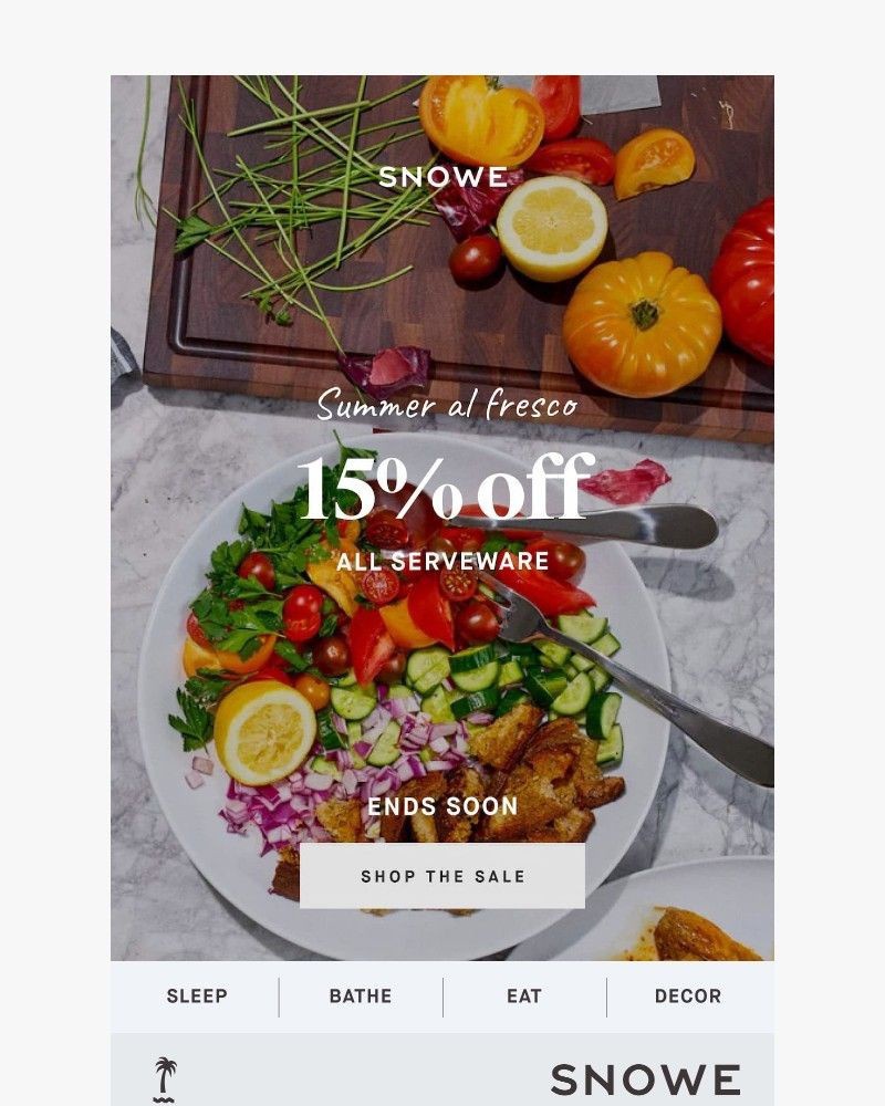 Screenshot of email sent to a Snowe Newsletter subscriber