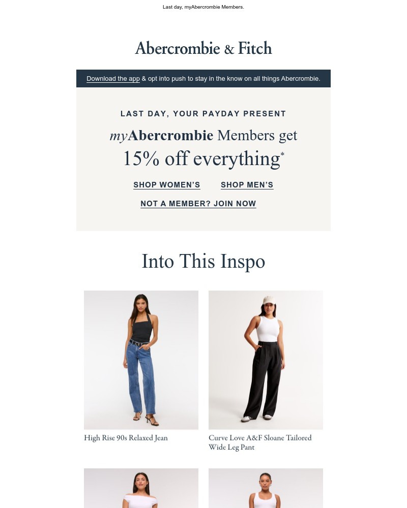 Screenshot of email with subject /media/emails/15-off-is-having-a-now-or-never-moment-b08ef6-cropped-0b2d60a4.jpg