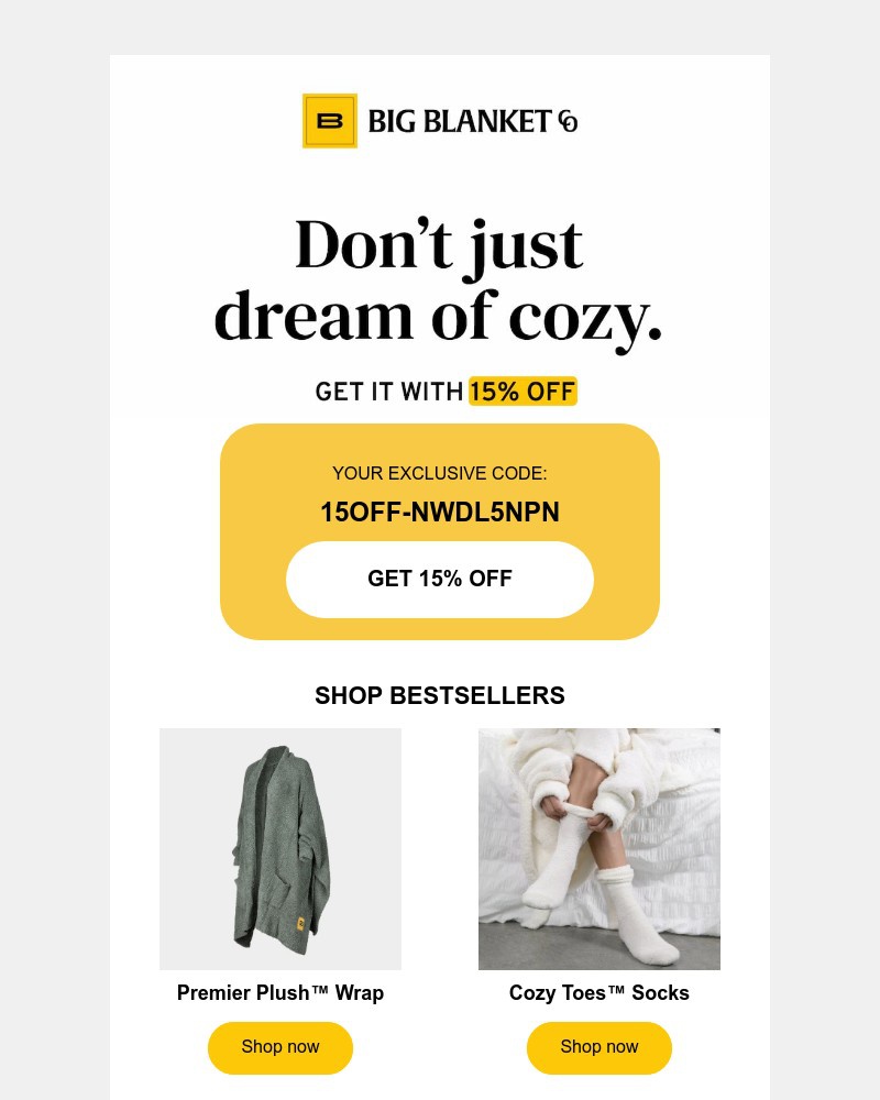 Screenshot of email sent to a Big Blanket Co. Newsletter subscriber