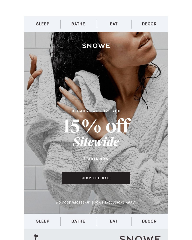 Screenshot of email sent to a Snowe Newsletter subscriber