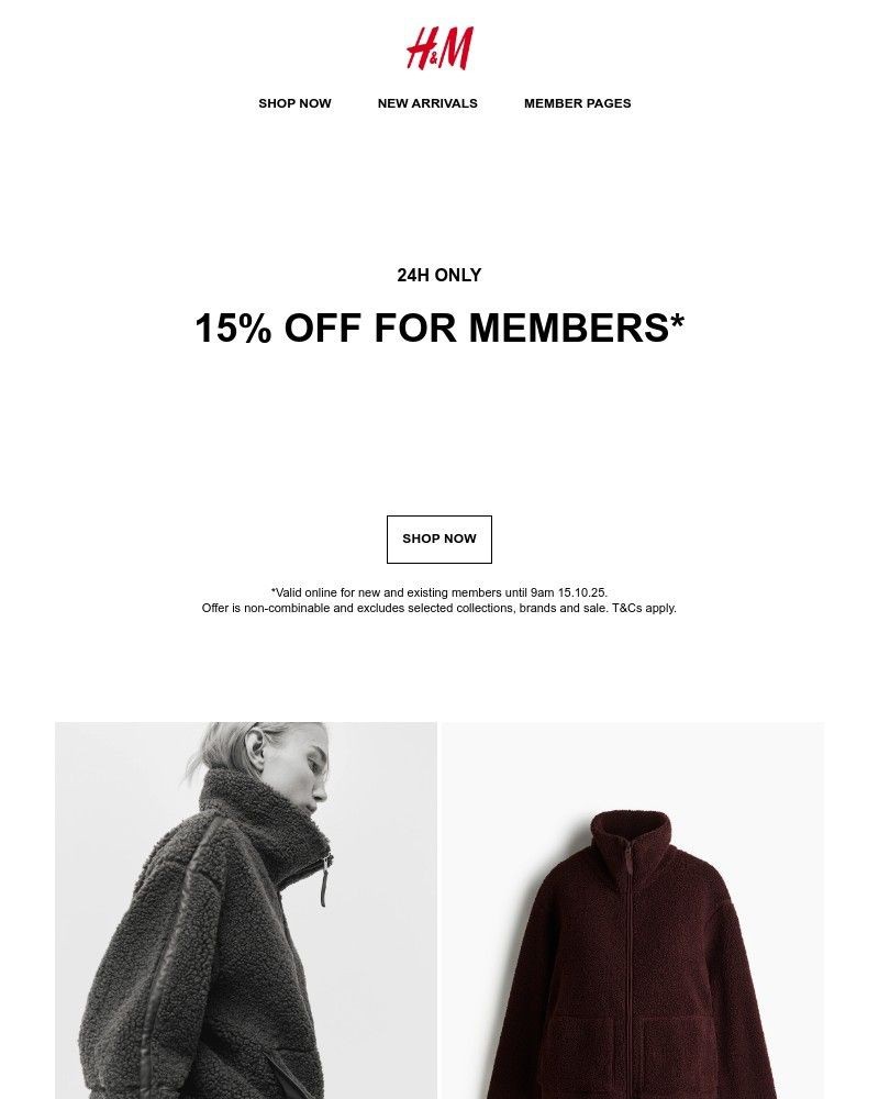 Screenshot of email with subject /media/emails/15-off-online-8ab199-cropped-f3b896fb.jpg