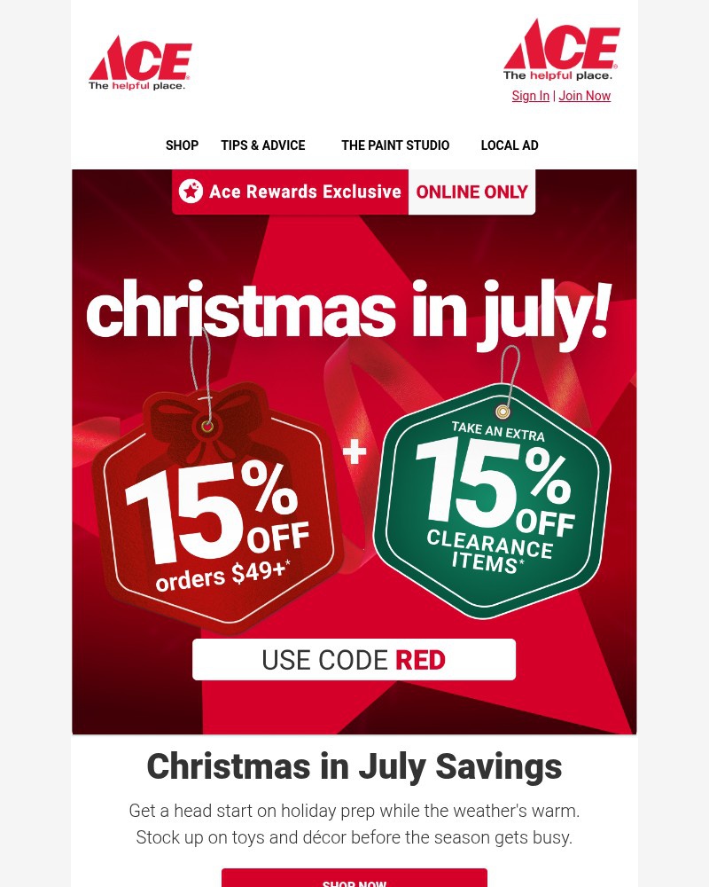 Screenshot of email sent to a Ace Hardware Newsletter subscriber
