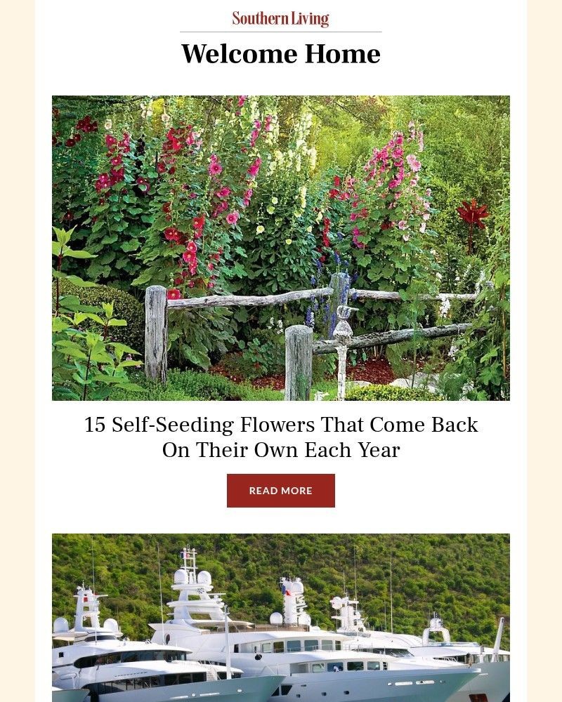 Screenshot of email with subject /media/emails/15-self-seeding-flowers-that-come-back-on-their-own-each-year-a96c48-cropped-a962f0b8.jpg