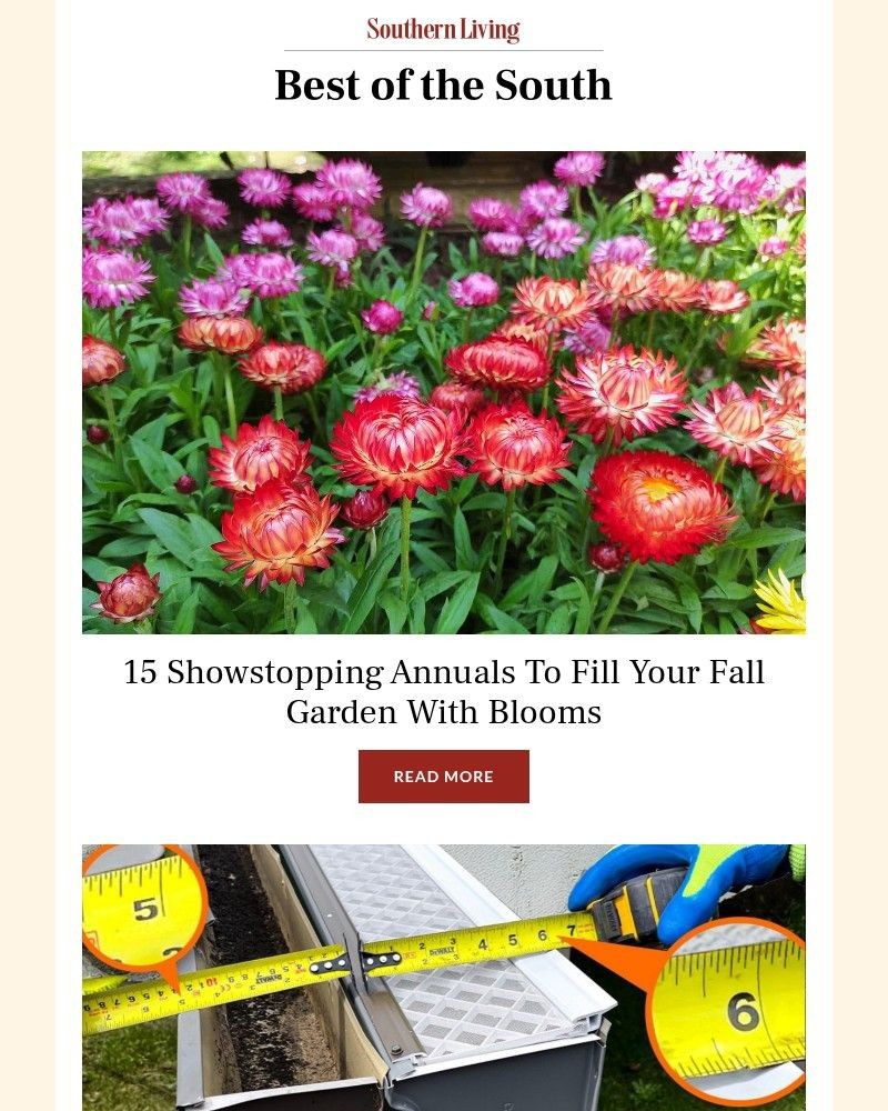 Screenshot of email with subject /media/emails/15-showstopping-annuals-to-fill-your-fall-garden-with-blooms-678e3f-cropped-dcc21151.jpg