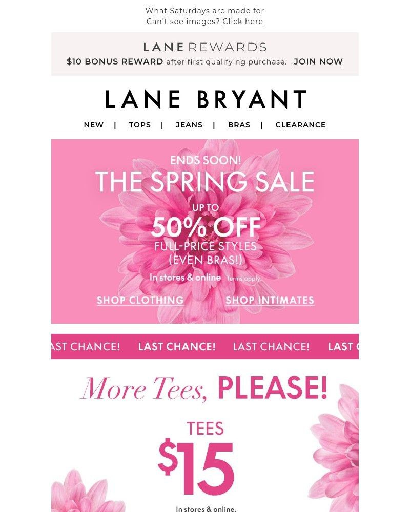 Screenshot of email with subject /media/emails/15-tees-835-panties-50-off-clearance-bae97a-cropped-f4e24b4a.jpg