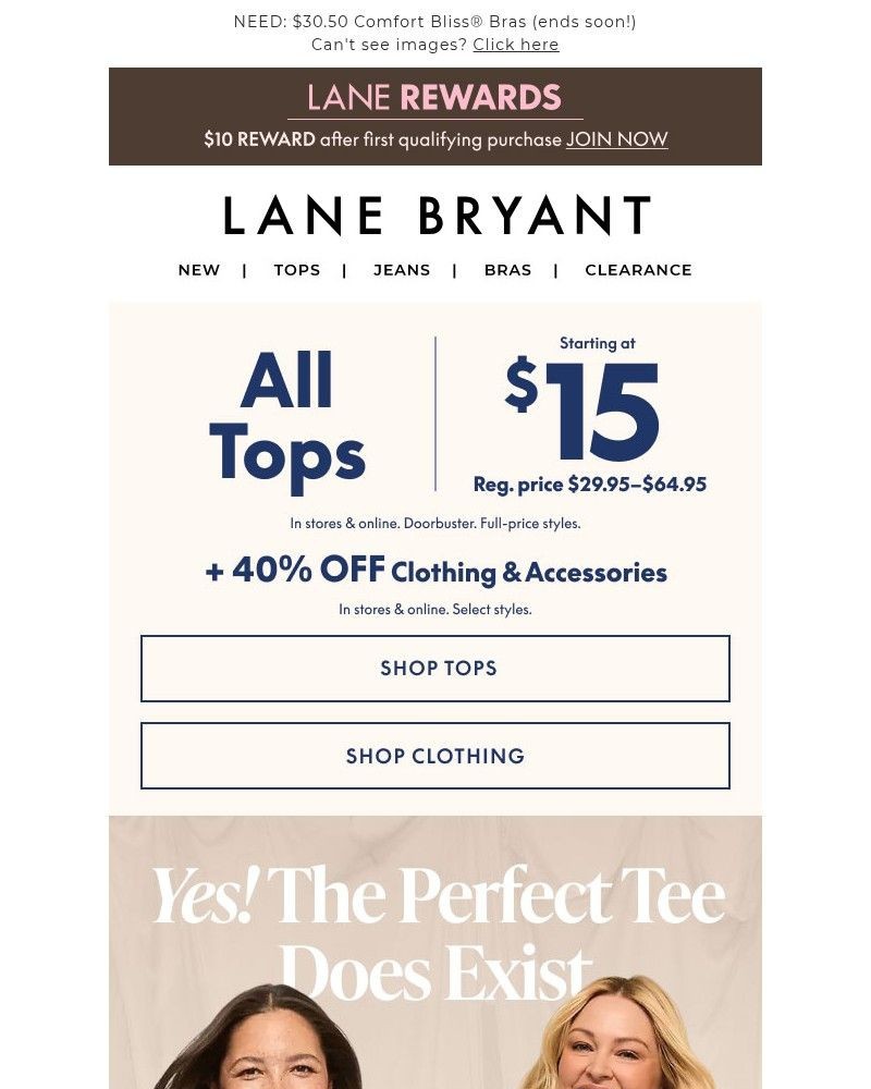 Screenshot of email with subject /media/emails/15-tees-fnl-hrs-the-perfect-tee-does-exist-f9008e-cropped-333d4647.jpg