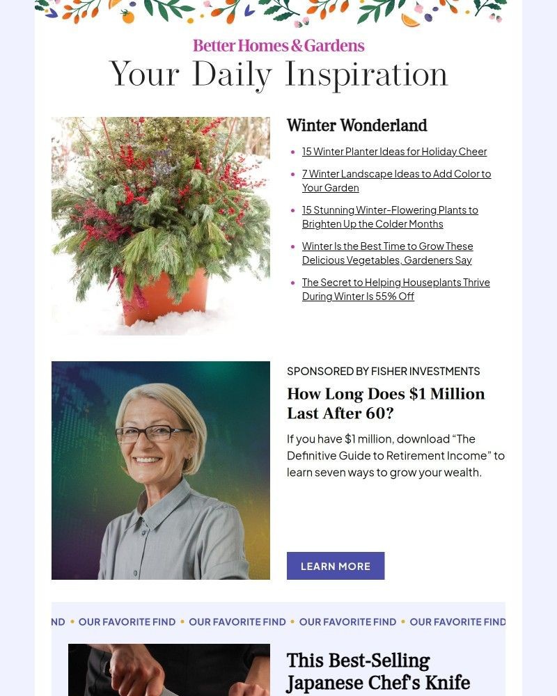 Screenshot of email with subject /media/emails/15-winter-planter-ideas-for-holiday-cheer-fe7c59-cropped-cfc93a8d.jpg