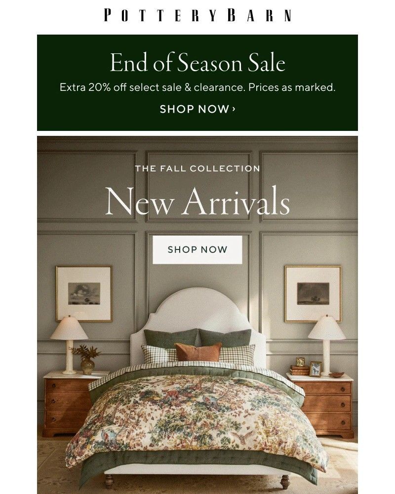 Screenshot of email with subject /media/emails/1500-new-arrivals-just-landed-74e04c-cropped-a1f9a5ca.jpg