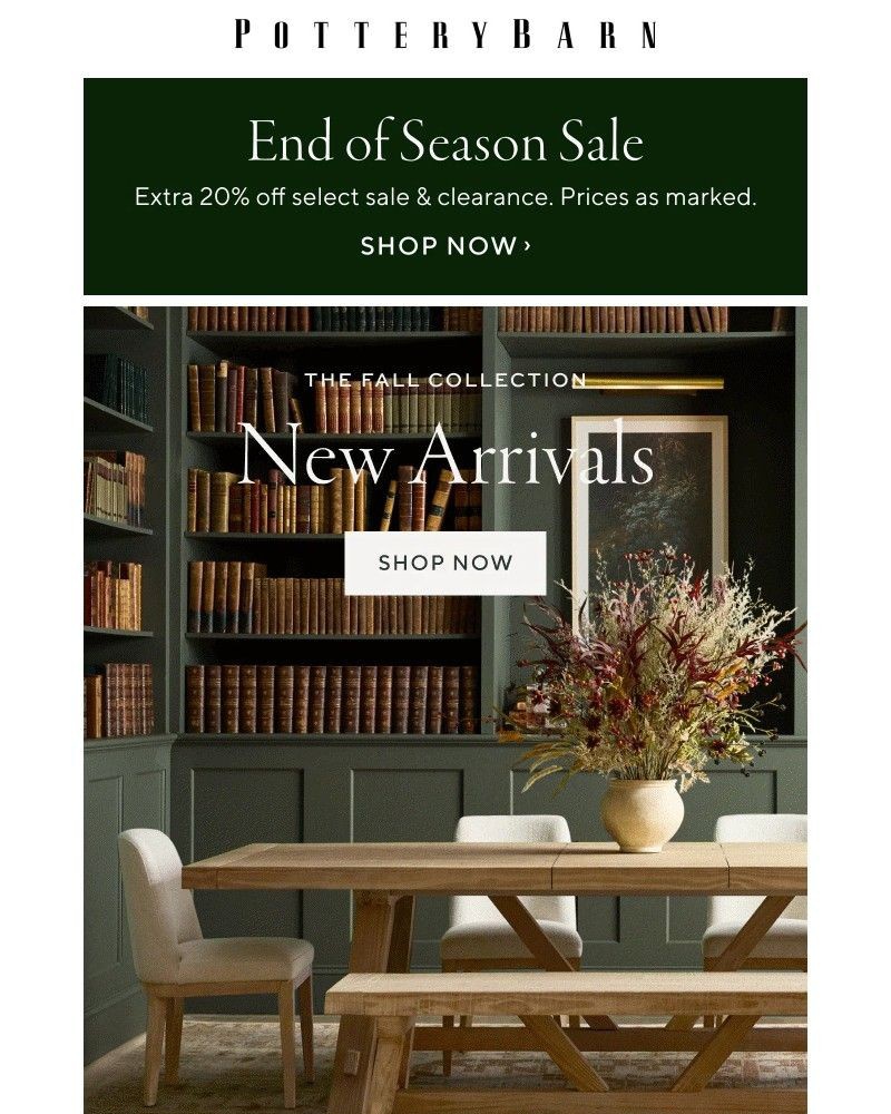 Screenshot of email with subject /media/emails/1500-new-arrivals-just-landed-977fe8-cropped-42c6937e.jpg