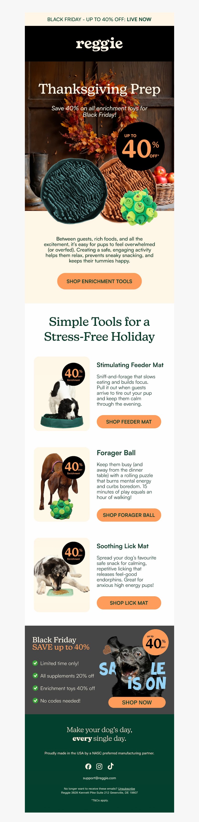 Screenshot of email with subject /media/emails/15747076-43c9-4f38-9e38-74fbf9904fa5.jpg