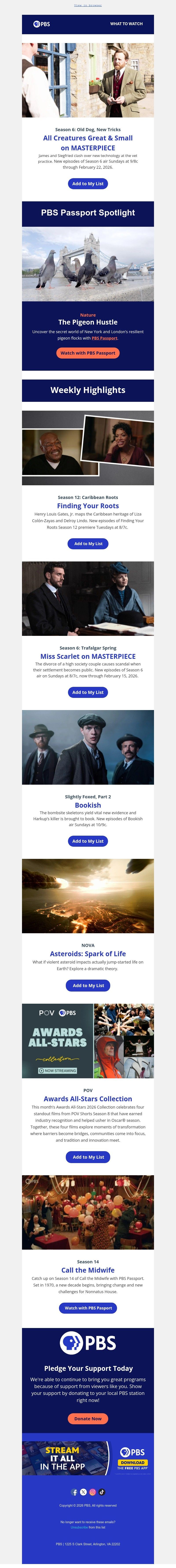 Screenshot of email with subject /media/emails/1687e73f-eca6-43a4-82a1-efde2885c525.jpg