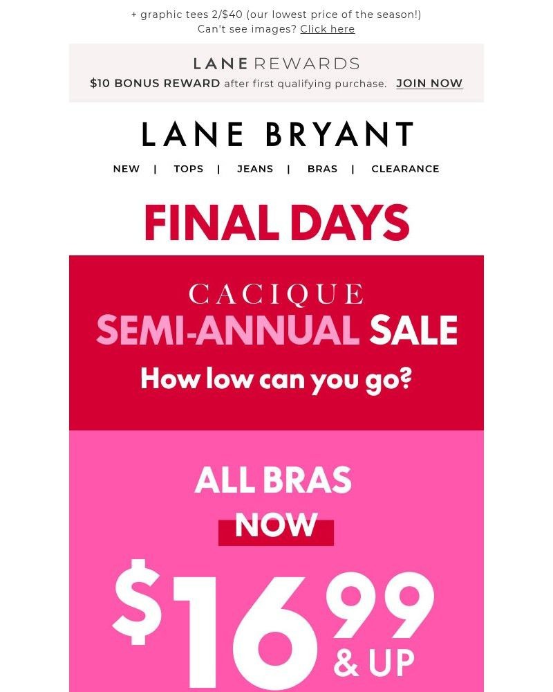 Screenshot of email with subject /media/emails/1699-bras-399-panties-last-days-of-sale-866240-cropped-10ad8a53.jpg