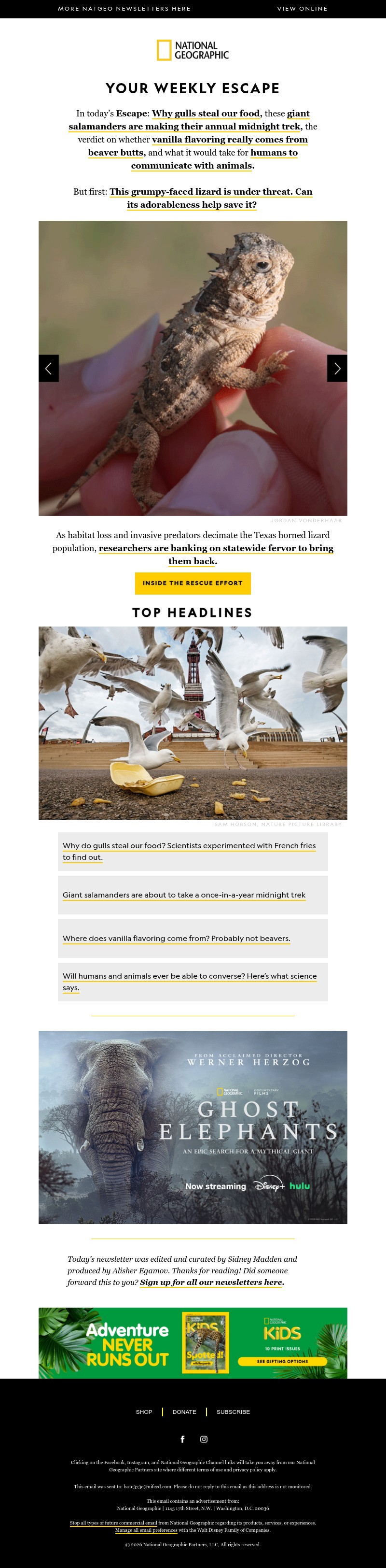 Screenshot of email with subject /media/emails/16c3be14-0fa7-494d-bc1d-c85f62f7c3ff.jpg