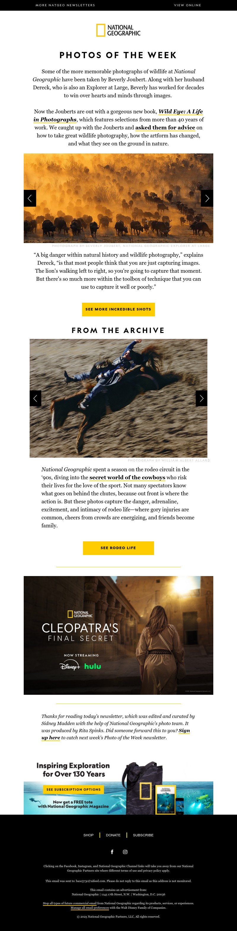 Screenshot of email with subject /media/emails/16ee1792-5963-4784-a884-ed4541732969.jpg