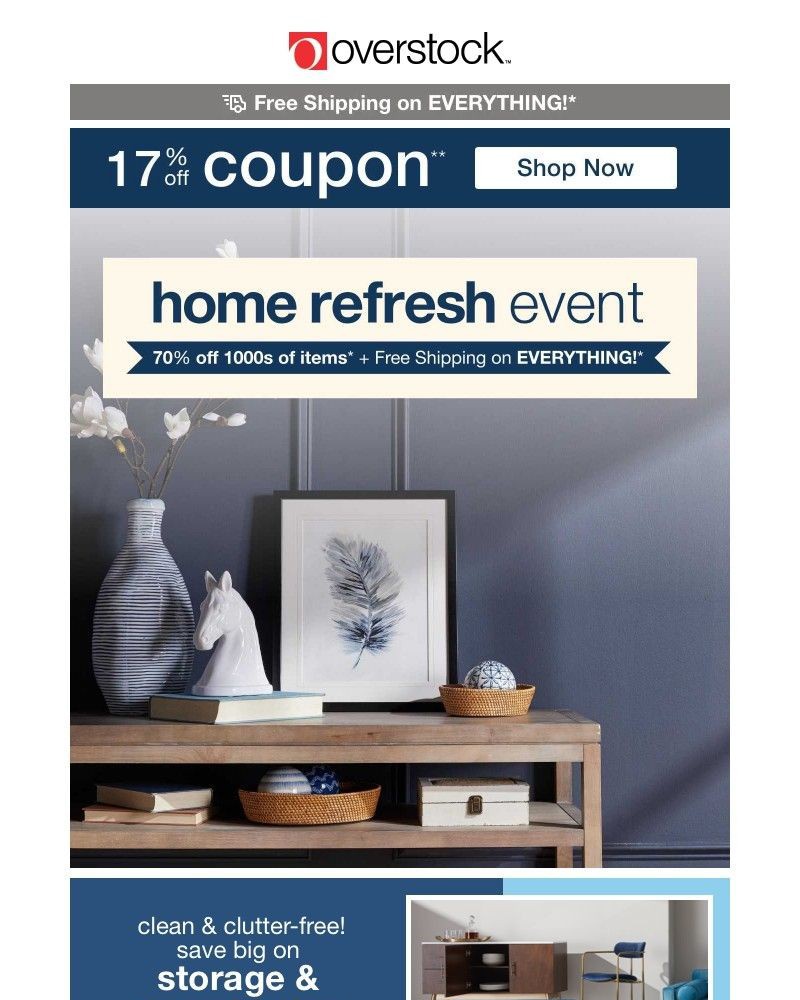 Screenshot of email with subject /media/emails/17-off-coupon-make-any-space-your-own-with-deals-like-these-the-skys-the-limit-5a_jpuhOBs.jpg